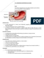 Tema 20 - Enfermedad Hipertrofica de Piloro