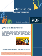 Biolixiviación