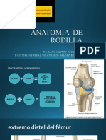 ANATOMIA Y RADIOLOGIA DE RODILLA Expo