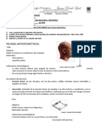 Educación Física 02 Plan de Apoyo Segunda Semana PDF