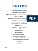 Cuaderno de Trabajo Histología Morfofisiología Ap. Locomotor Cab y Cuello PDF