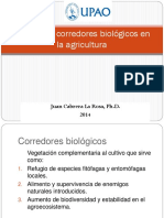 Corredores Biologicos