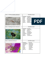 Burdah Asni, Arthropoda, Unit 3