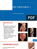 Mehu108 - U8 - T9 - Litiasis Urinaria1