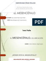 El Mesencéfalo PDF