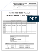 Procedimiento de Trabajo Cambio Flexible