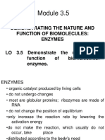 3.5 Enzymes 2