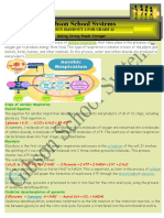 Revision Handout 1 For Grade 12