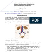 Guía Excreción Colombia Aprende