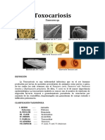 Toxocariosis o SMLV