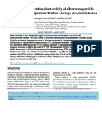 Antibacterial and Antioxidant Activity of Silver Nanoparticles Synthesized Using Aqueous Extract of Moringa Stenopetala Leaves