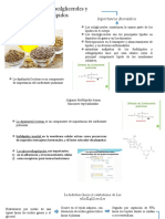 Metabol. Agliceroles y Esfingolipidos