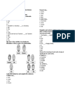 Evaluacion Segundo Trimestre Ingles 6