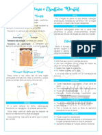 Escultura Dental-Aosdeia