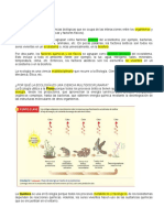 ECOLOGIA (Documento)