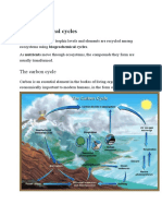 Biogeochemical Cycles: The Carbon Cycle