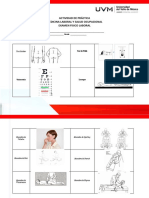 Actividad Examen Fisico