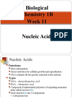 Nucleic Acids