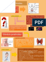 1.glándula Tiroidea y Paratiroidea