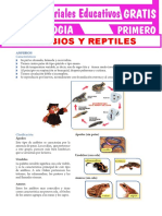 Anfibios y Reptiles para Primero Grado de Secundaria