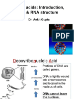 AG-DNA & RNA Structures