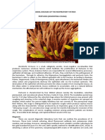 Microbial Diseases of The Respiratory System: Pertussis (Whooping Cough) Pathogenesis