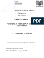 "CUIDADOS DE ENFERMERÍA EN EL PACIENTE CON DIABETES Adulto PDF