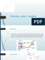 Neuronas, Glías y Sinapsis