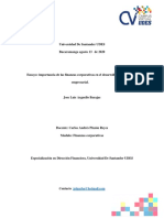 Ensayo Importancia de Las Finanzas Corporativas en El Desarrollo de La Actividad Empresarial