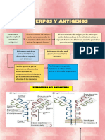 Anticuerpos y Antigenos