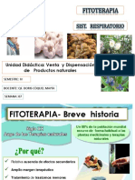 Fitoterapia Respiratoria