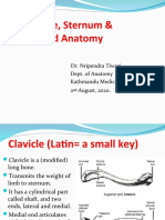 Clavicle, Sternum & Applied Anatomy