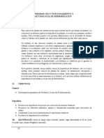 Informe 5