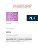 Pleomorphic Adenoma Ameloblastoma