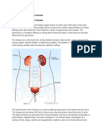 Chronic Kidney Disease