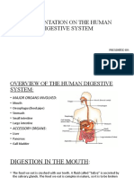 The Human Digestive System