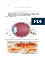 Glaucoma Case Study