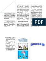 Triptico Contaminación Del Agua