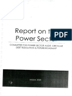 IPP Report PDF