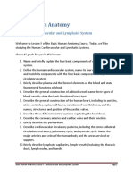 Cardiovascular System Lecture - Notes