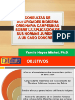 Consultas de Autoridades Indigenas Agosto 2020 PDF