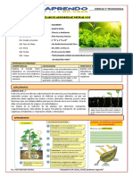 Clase 7 - Explicamos Como Se Muestran Las Plantas y El Impacto Que Tienen en Nuestra Vida.