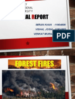 Chemistrt PPT Forest Fire Term 1