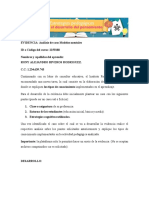 Formato de Analisis de Caso