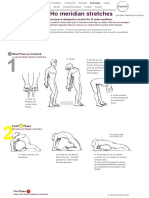 Makko Ho Meridian Stretches