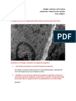 Fisiopatologia General