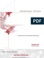 VSE InfoScale Enterprise 2020 05