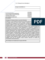 PEI-Formato de Documento 1a - 2a Entrega PROCESO ESTRATEGICO