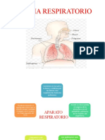 Aparato Respiratorio