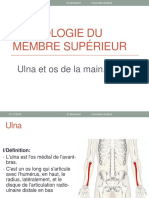 Ulna Et Les Os de La Main - PDF Version 1